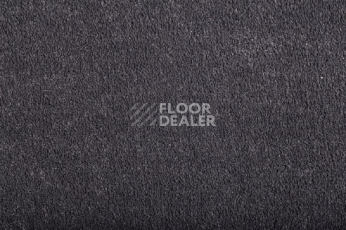 Ковролин Condor Masquerade Elegance Elegance 317704 фото 1 | FLOORDEALER
